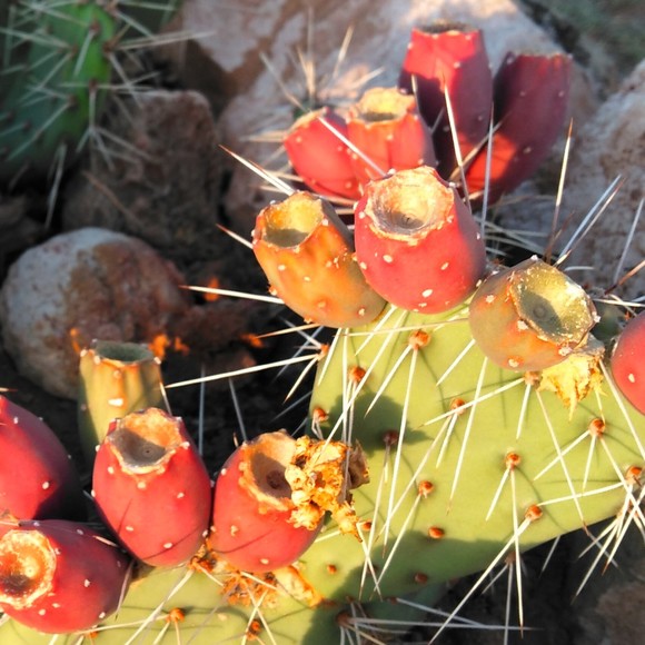 Meet your Posher, Melissa - Picture 1 of 2